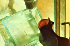 20230810_225045FLEMISH-kirby-wang