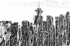 kirby-wang-20231001_153622spackleart1BW-mpc