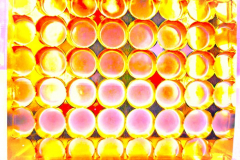 kirby-wang-20240216_112224CirclesYGR-mpc