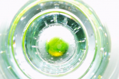 kirby-wang-DSCF2166MacroBubbleArt11-mpc
