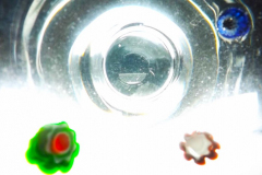 kirby-wang-DSCF2167MacroGlass-mpc