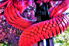 kirby-wang-SAM_1260DRAGON-MPC
