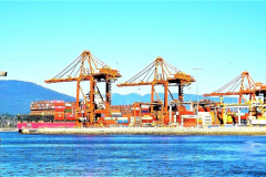 kirby-wang-kirby-wang-DSCF2039CRANES-MPC-kirby-wang