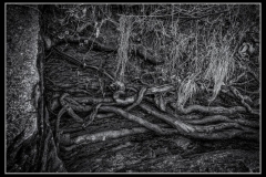 20190105-DSCF4632-Edit-Edit