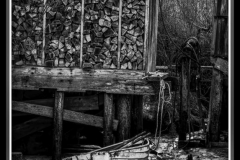 20190407-DSCF1967-Edit-Edit-2-Copy